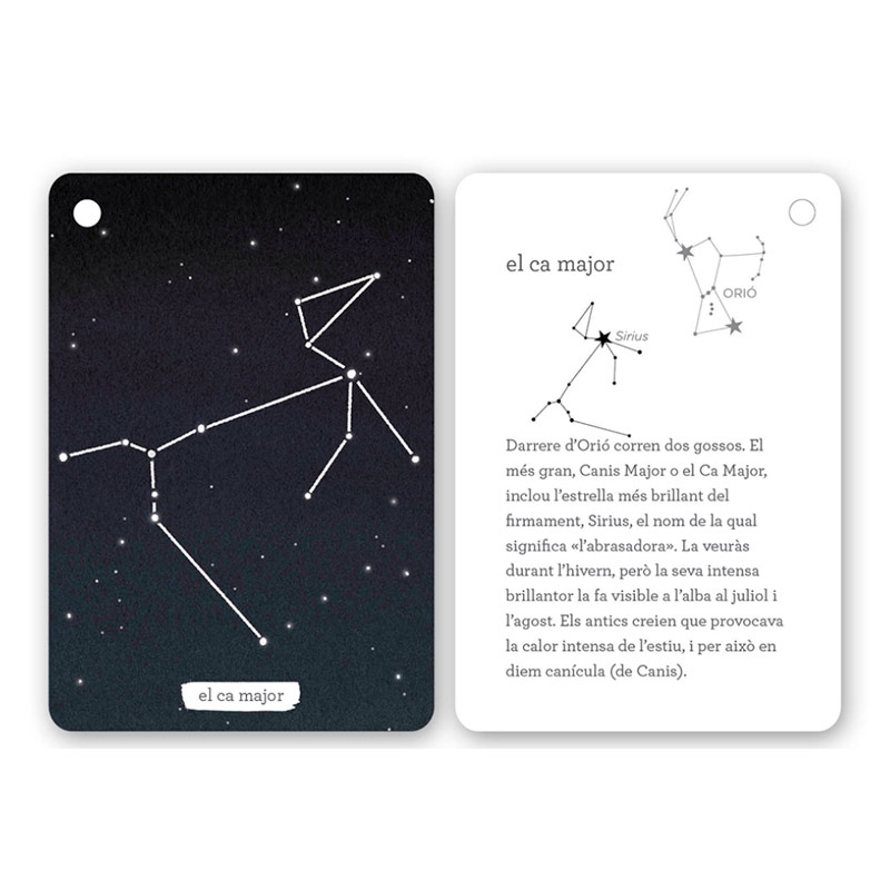 Fixa’t-hi: constel·lacions de l’hemisferi nord - Aúpa Organics