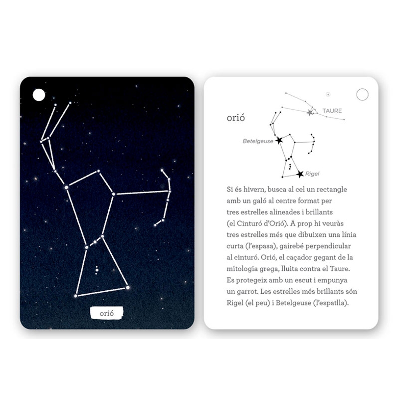 Fixa’t-hi: constel·lacions de l’hemisferi nord - Aúpa Organics