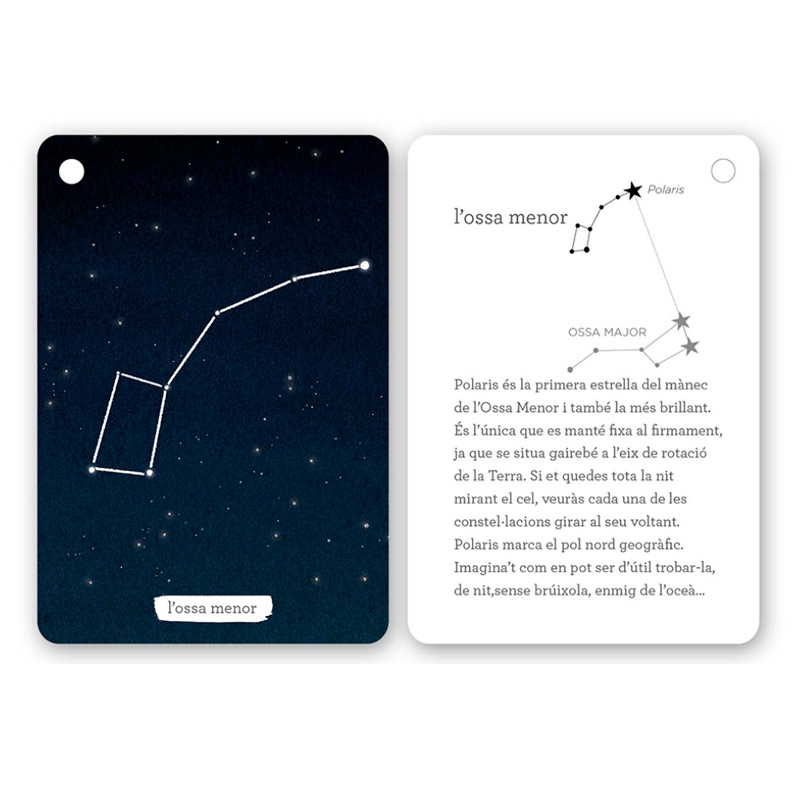 Fixa’t-hi: constel·lacions de l’hemisferi nord - Aúpa Organics