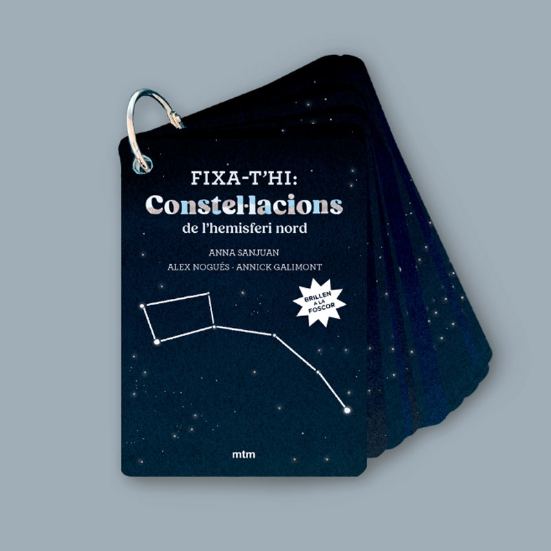 Fixa’t-hi: constel·lacions de l’hemisferi nord - Aúpa Organics