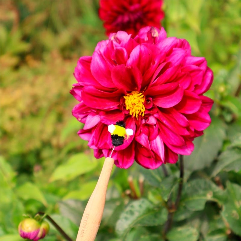 Varita de Polinización. Herramienta para Polinizar Flores - Aúpa Organics