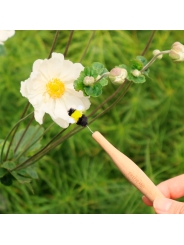 Varita de Polinización. Herramienta para Polinizar Flores - Aúpa Organics