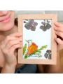 Kit "Crea tu Cuadro con Flores Prensadas" Huckleberry - Aúpa Organics