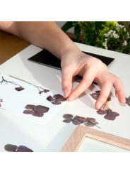 Kit "Crea tu Cuadro con Flores Prensadas" Huckleberry - Aúpa Organics