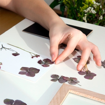 Kit "Crea tu Cuadro con Flores Prensadas" Huckleberry - Aúpa Organics