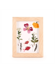 Kit "Crea tu Cuadro con Flores Prensadas" Huckleberry - Aúpa Organics