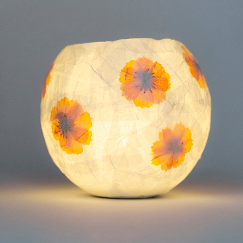 Kit " Crea tu propia Lampara de papel" de Kikkerland - Aúpa Organics