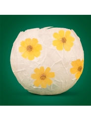 Kit " Crea tu propia Lampara de papel" de Kikkerland - Aúpa Organics