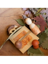 Hello Autumn! - Edición Limitada Ostheimer & Grapat | Aúpa Organics