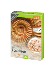 Kit de Excavación de Minerales - Aúpa Organics