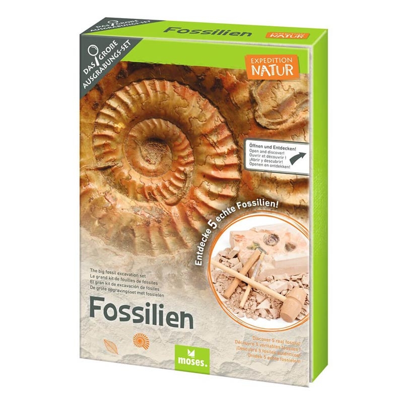 Kit de Excavación de Minerales - Aúpa Organics