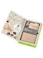 Kit de Excavación de Minerales - Aúpa Organics