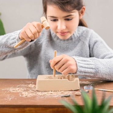 Kit de Excavación de Fósiles - Aúpa Organics