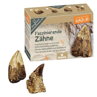 Mini Kit de Excavación Coleccionable - Aúpa Organics