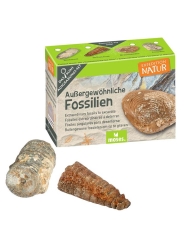 Mini Kit de Excavación Coleccionable - Aúpa Organics