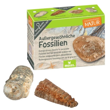 Mini Kit de Excavación Coleccionable - Aúpa Organics