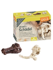 Mini Kit de Excavación Coleccionable - Aúpa Organics