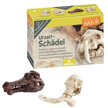 Mini Kit de Excavación Coleccionable - Aúpa Organics