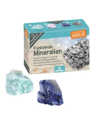 Mini Kit de Excavación Coleccionable - Aúpa Organics