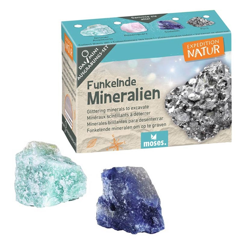 Mini Kit de Excavación Coleccionable - Aúpa Organics