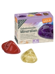 Mini Kit de Excavación Coleccionable - Aúpa Organics