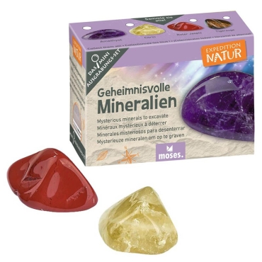 Mini Kit de Excavación Coleccionable - Aúpa Organics