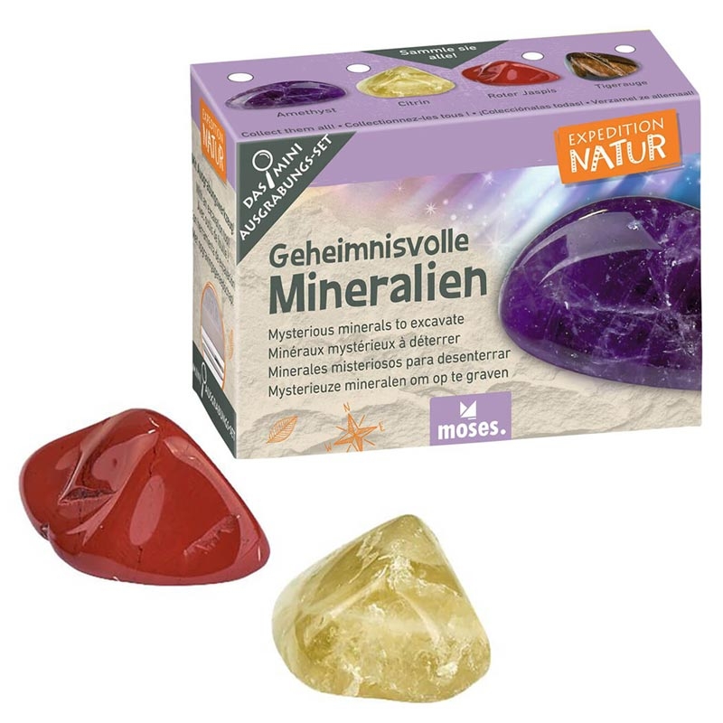 Mini Kit de Excavación Coleccionable - Aúpa Organics