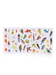 Pegatinas de naturaleza "El botanista" Moulin Roty - Aúpa Organics