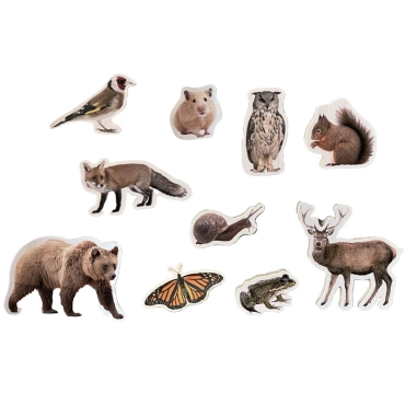 10 Imanes de Madera "Animales del Bosque" Nowordbooks - Aúpa Organics