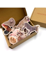 10 Imanes de Madera "Animales de la Granja" Nowordbooks - Aúpa Organics