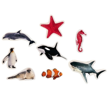 10 Imanes de Madera "Animales Marinos" Nowordbooks - Aúpa Organics