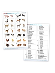 Juego de Parejas de Animales Domésticos - Aúpa Organics