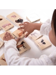 Juego de Parejas de Animales Domésticos - Aúpa Organics