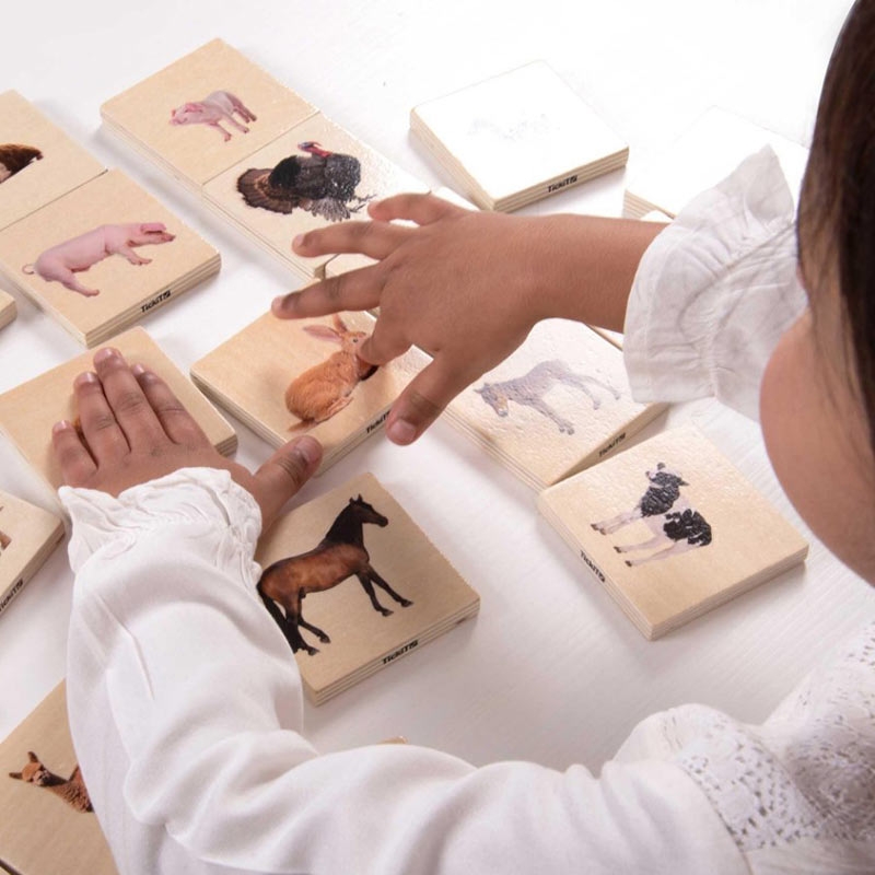 Juego de Parejas de Animales Domésticos - Aúpa Organics