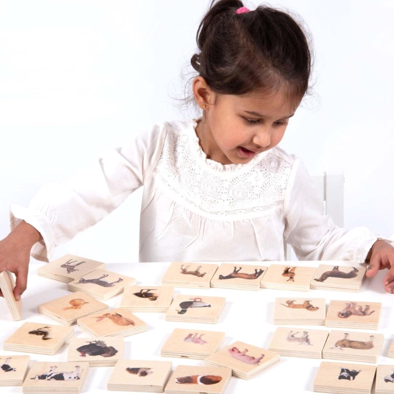 Juego de Parejas de Animales Domésticos - Aúpa Organics