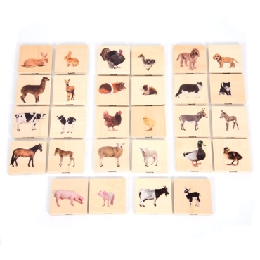 Juego de Parejas de Animales Domésticos - Aúpa Organics