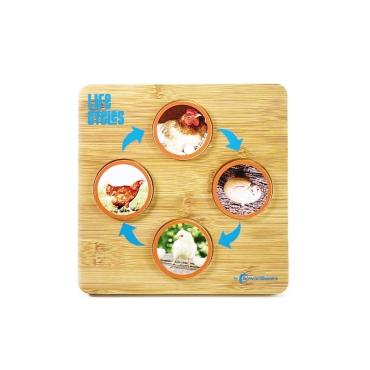 Puzzle los Ciclos de la Vida de Nowordbooks - Aúpa Organics