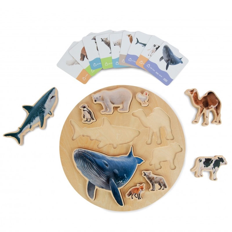 Puzzle de Encaje de Animales Reales "Animals Size Puzzle" - Aúpa Organics