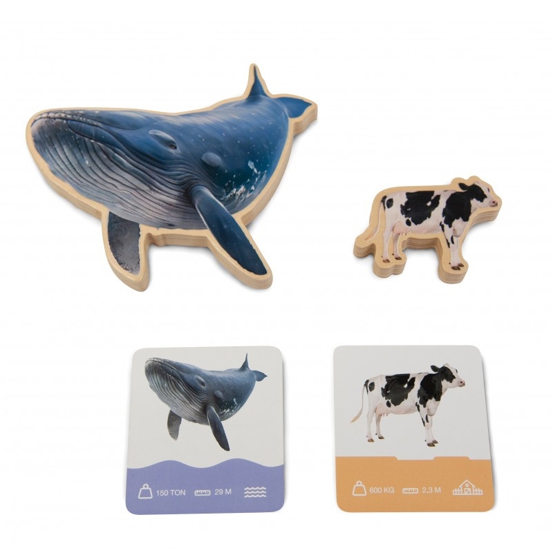Puzzle de Encaje de Animales Reales "Animals Size Puzzle" - Aúpa Organics