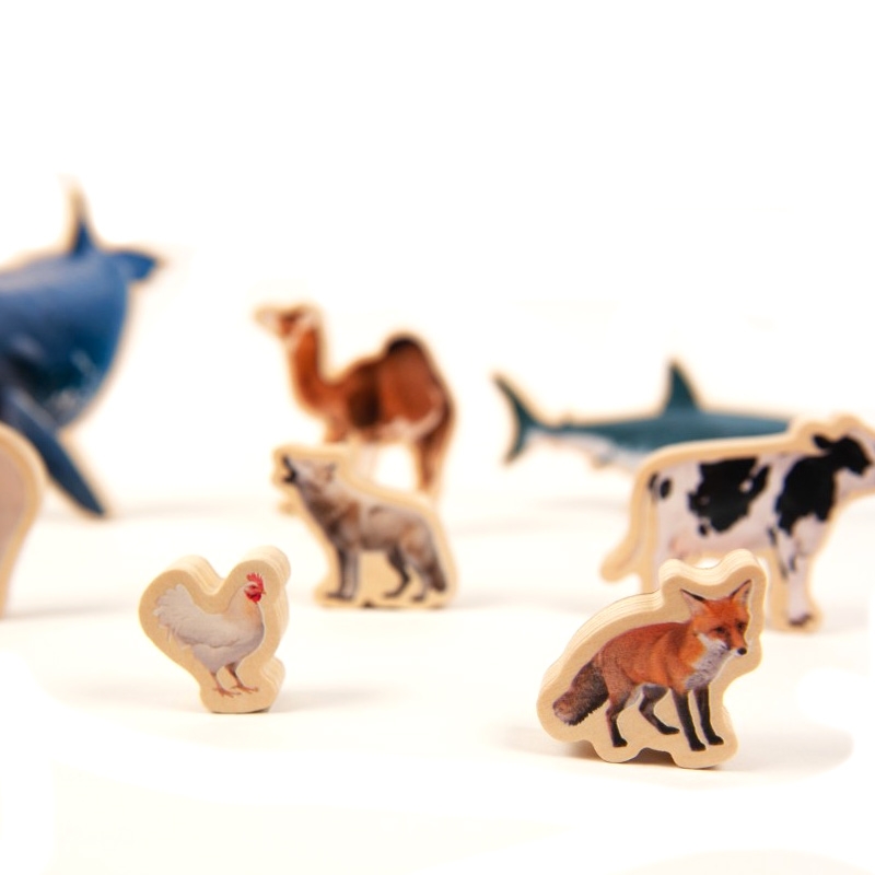 Puzzle de Encaje de Animales Reales "Animals Size Puzzle" - Aúpa Organics