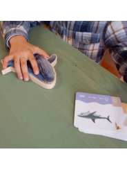 Puzzle de Encaje de Animales Reales "Animals Size Puzzle" - Aúpa Organics