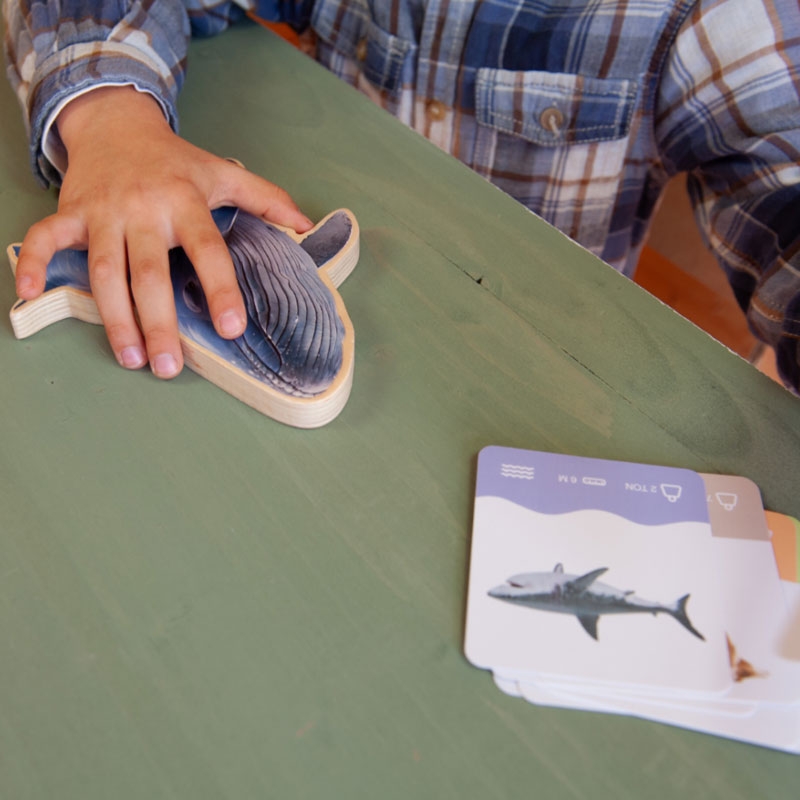 Puzzle de Encaje de Animales Reales "Animals Size Puzzle" - Aúpa Organics