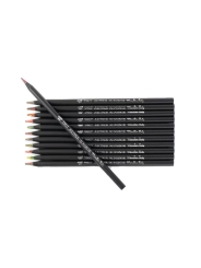 12 Lápices Multicolor en Caja de Metal - Aúpa Organics