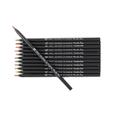 12 Lápices Multicolor en Caja de Metal - Aúpa Organics