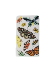 12 Lápices Multicolor en Caja de Metal - Aúpa Organics