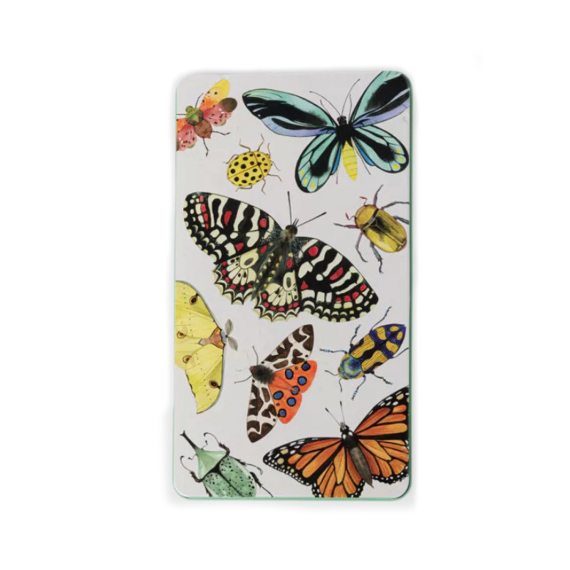 12 Lápices Multicolor en Caja de Metal - Aúpa Organics