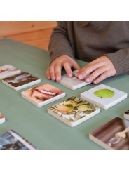 Juego de Memoria con Analogías Visuales - Aúpa Organics