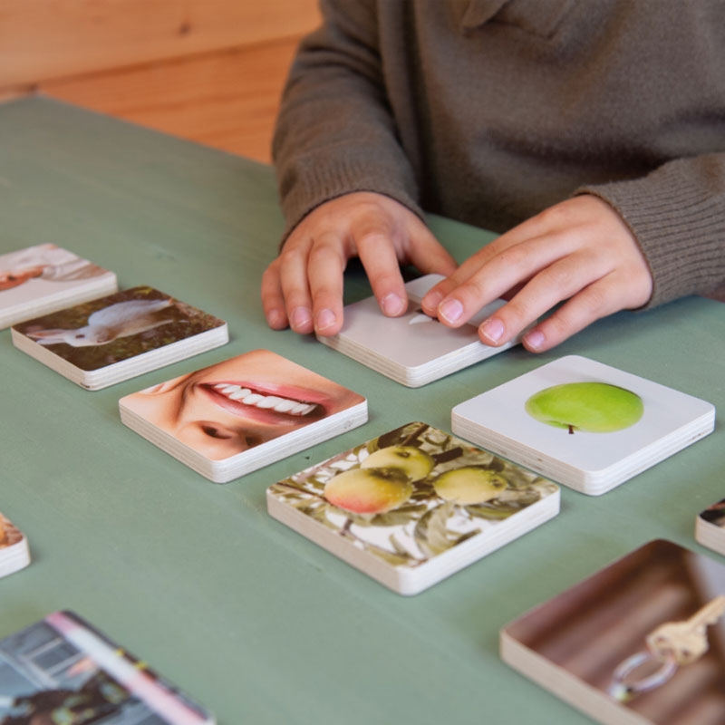 Juego de Memoria con Analogías Visuales - Aúpa Organics