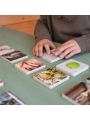 Juego de Memoria con Analogías Visuales - Aúpa Organics