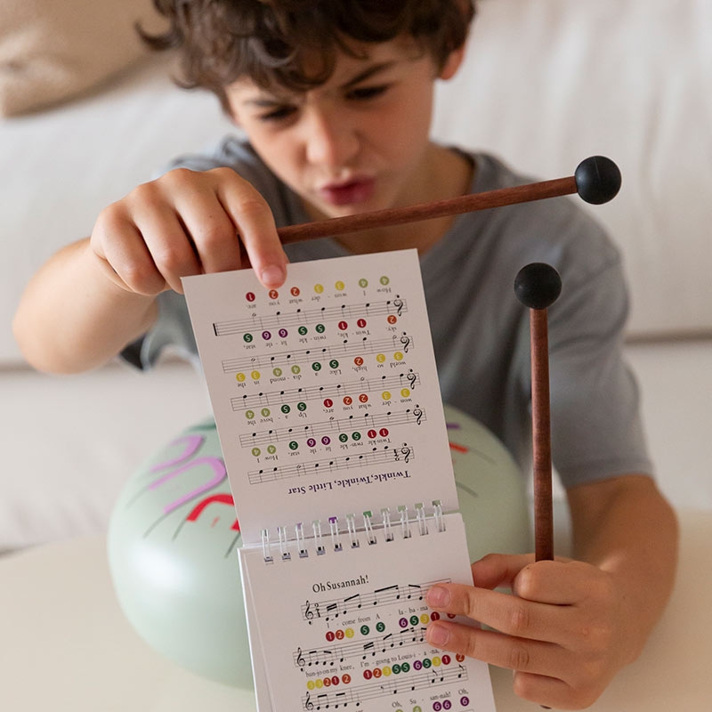 Tambú Plus 10" 11 notas Azul/Pure Connection - Aúpa Organics